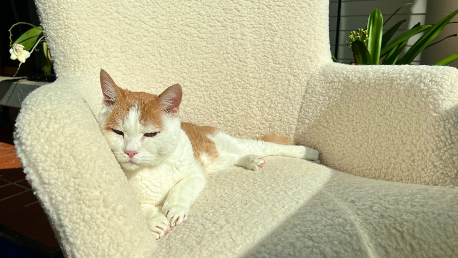 Soutuveneellä voi käydä tutustumassa Suojärveen.